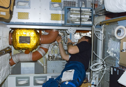STS107-E-05392