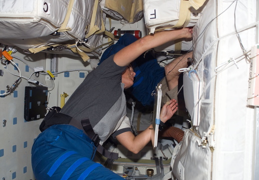 STS115-E-05910