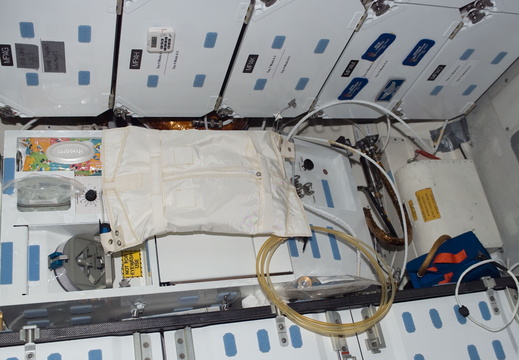 STS115-E-06026