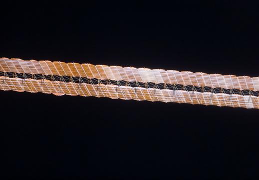 STS115-E-06376