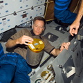 STS115-E-06526.jpg