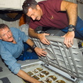 STS115-E-06527.jpg