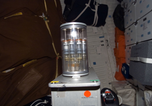 STS115-E-06924