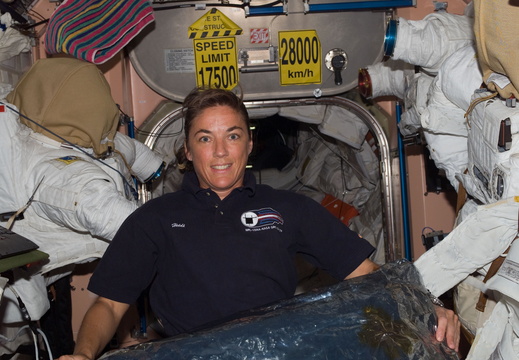 STS115-E-07393
