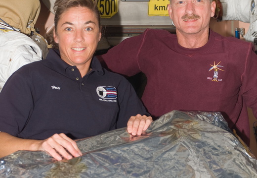 STS115-E-07395