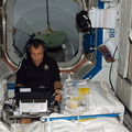 STS118-E-06913.jpg