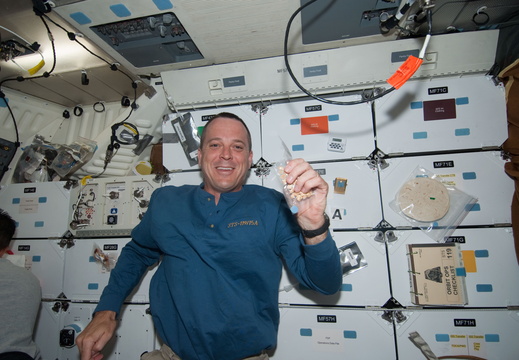 STS119-E-06384