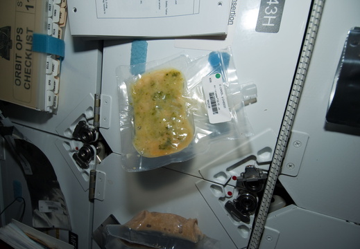 STS119-E-07504
