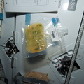 STS119-E-07504.jpg