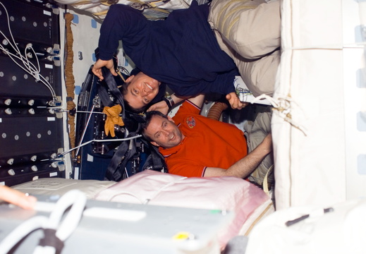STS123-E-07122