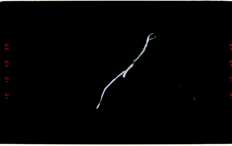 STS077-389-006.jpg