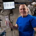 expedition-56-flight-engineer-ricky-arnold-works-with-a-student-designed-experiment_43010056595_o.jpg