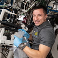 astronaut-andrew-morgan-works-on-the-microgravity-crystals-experiment_48760282177_o.jpg