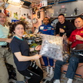 four-expedition-60-crewmembers-and-a-spaceflight-participant_48820730268_o.jpg