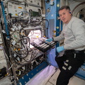nasa2explore_51360545507_Astronaut_Shane_Kimbrough_works_on_space_botany_research.jpg
