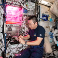 nasa2explore_51532381429_Astronaut_Akihiko_Hoshide_collects_microbe_samples.jpg