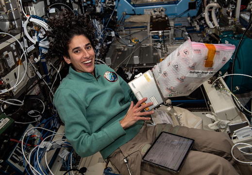 astronaut-jasmin-moghbeli-installs-a-new-hydrogen-sensor 53316008621 o