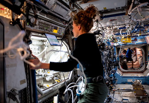astronaut-loral-ohara-works-inside-the-microgravity-science-glovebox 53234605923 o