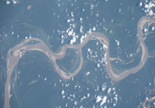the-amazon-river-in-northwestern-brazil 53306397262 o