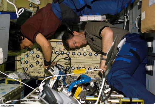 STS107-E-05096