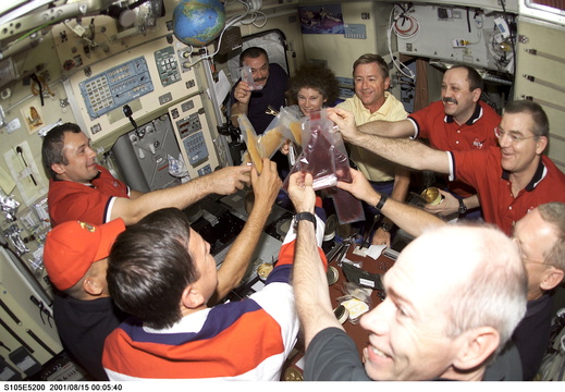 STS105-E-5200