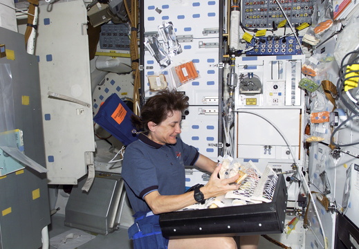STS108-E-5492