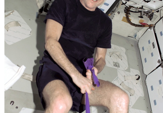 STS108-E-5569