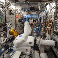 Astronaut Chris Cassidy and Robonaut 2 - 9470721305_28bc7818f5_o.jpg