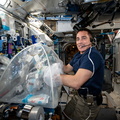 nasa-astronaut-chris-cassidy-services-biological-samples-in-a-glovebag_50038763126_o.jpg