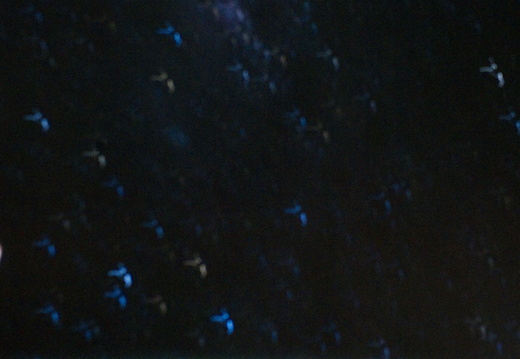 STS134-E-09425