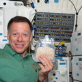STS135-E-07701