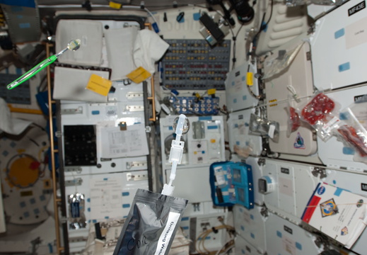 STS135-E-08140