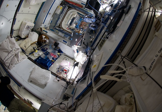 STS135-E-09278
