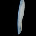 STS133-E-07016.jpg