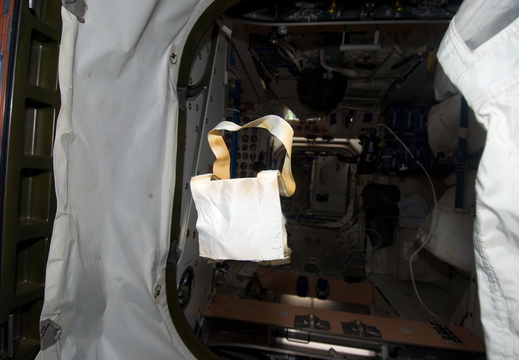 STS133-E-08542