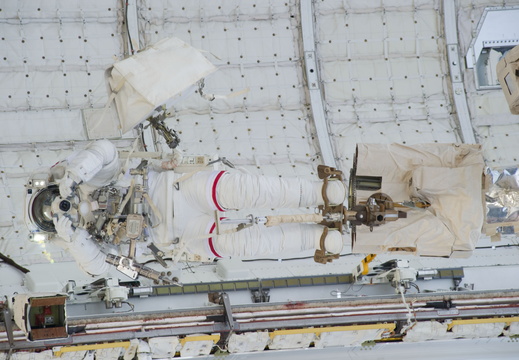 STS133-E-08239