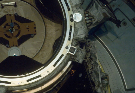 STS133-E-10321