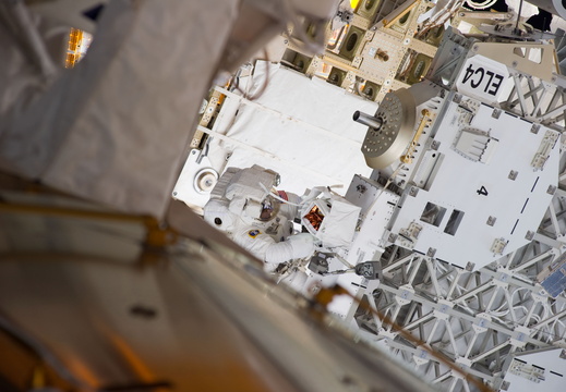 STS133-E-08021