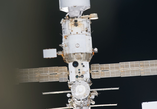 STS133-E-06411