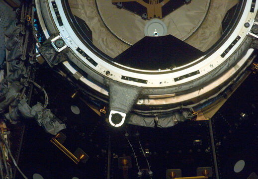 STS133-E-10324