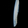 STS133-E-07009.jpg
