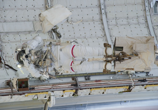 STS133-E-08238