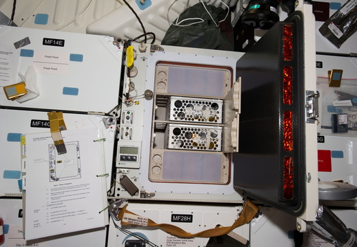 STS133-E-07066