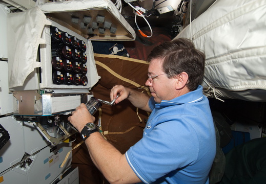STS133-E-06036