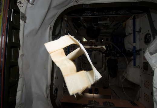 STS133-E-08541