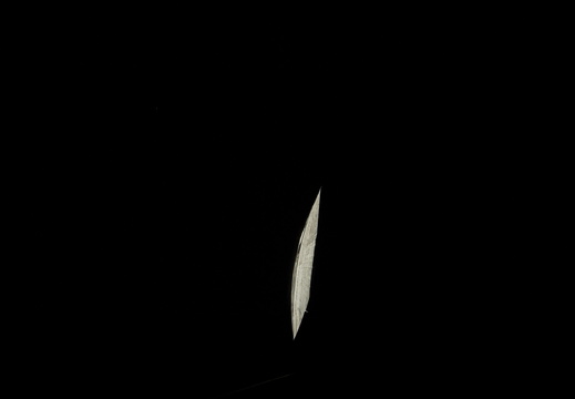 STS133-E-07048