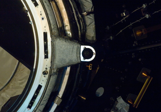 STS133-E-10316