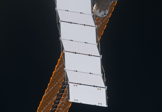 STS133-E-06440