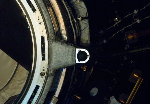 STS133-E-10315