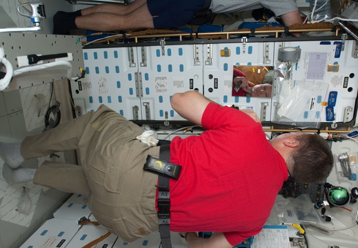 STS130-E-06875